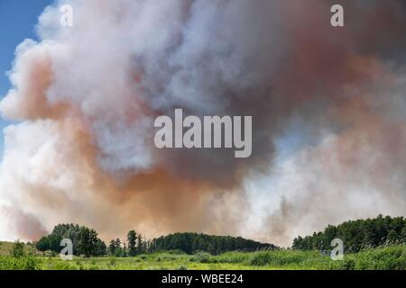 Il fuoco su un campo di grano vicino Tutow, Parco Naturale Peental, Meclemburgo-Pomerania, Germania Foto Stock