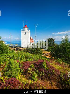 Hammerodde Lighthouse Fyr, anche martello Odde Fyr, davanti la fioritura erica (Erica), dietro il Mar Baltico, Allinge-Sandvig, Bornholm, Danimarca Foto Stock