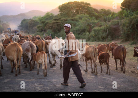 Popolo Hamer tribale a Turmi, bassa valle di Omo, Etiopia Foto Stock