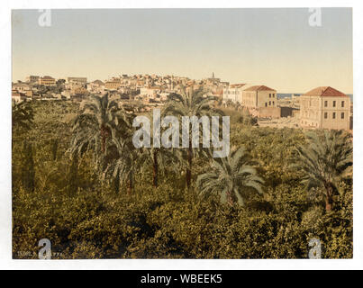 Dal giardino, Jaffa, Terra Santa, (es. Israele) Foto Stock