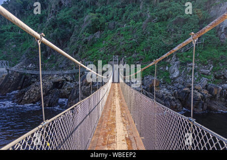 Passerella di sospensione oltre il Fiume tempeste nel Tsitsikamma National Park, una parte di un sentiero escursionistico lungo la Garden Route costa del Sud Africa Foto Stock