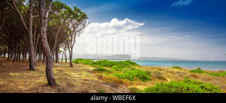 Budoni beach sull'isola di Sardegna, Sardegna, Italia, Europa. Foto Stock