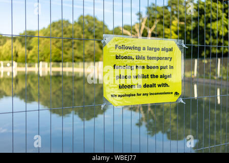 Segnale di allarme e recinzione in fiore di alghe tossiche intorno al lago Boating a Southampton Common Park, Southampton, Inghilterra, Regno Unito Foto Stock