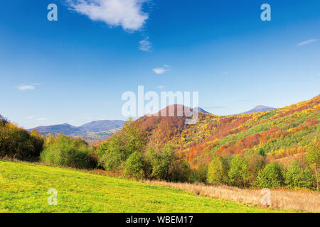 Bellissimo paesaggio di montagna in autunno. foresta sulle colline erbose. splendide giornate di sole a mezzogiorno. incredibile scenario dei Carpazi della uzhanian compit Foto Stock