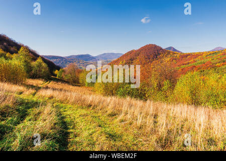 Bellissimo paesaggio di montagna in autunno. foresta sulle colline erbose. splendide giornate di sole a mezzogiorno. incredibile scenario dei Carpazi della uzhanian compit Foto Stock
