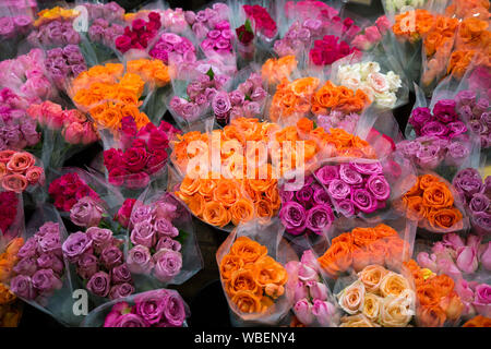 Mazzi di rose al fioraio di stallo di mercato - arancione, rosso e fiori malva avvolte nel cellophane trasparente Foto Stock