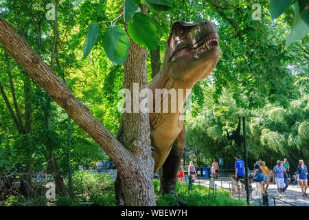 Una vita di modello di dimensioni di un Tirannosauro Rex dinosauro è uno dei sei Dinoroar visualizza tutto lo zoo, parte di Dino estate presso il National Zoo nel lavare Foto Stock