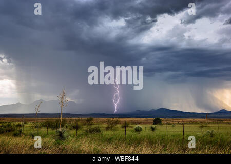 I fulmini colpiscono da un temporale monsonico vicino a Sonoita, Arizona Foto Stock