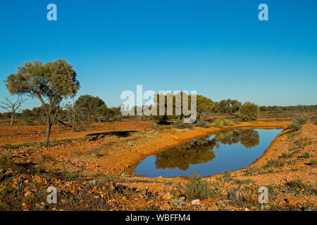 Outback australiano di paesaggio, cielo blu e alberi bassi sul rosso pianure pietrose riflessa in superficie a specchio d'acqua di piscina poco profonda in western Qld Foto Stock