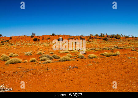 Outback australiano paesaggio con basse dune di sabbia rossa intonacato con ciuffi di erba spinifex sotto il cielo blu durante la siccità Foto Stock