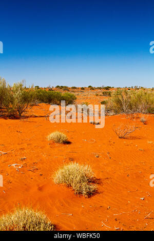 Outback australiano paesaggio con basse dune di sabbia rossa intonacato con ciuffi di erba spinifex sotto il cielo blu durante la siccità Foto Stock