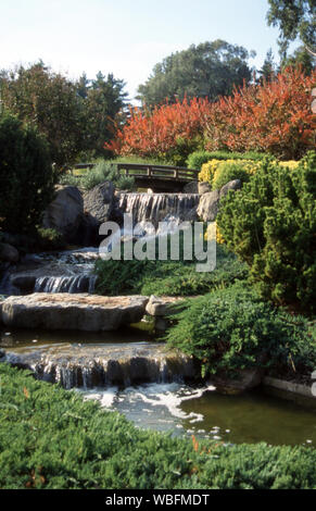 Cowra Giardino Giapponese & Centro Culturale era stato istituito per riconoscere e sviluppare il rapporto tra il popolo di Cowra Shire e del Giappone. Foto Stock