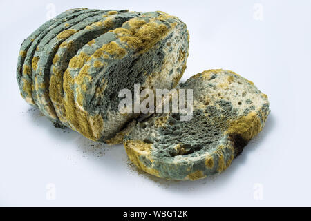 Pane - vecchie e ammuffite affettato, isolato su sfondo bianco. Foto Stock