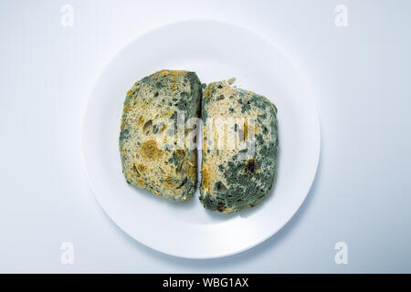 Pane - vecchie e ammuffite affettato, isolato su sfondo bianco. Foto Stock