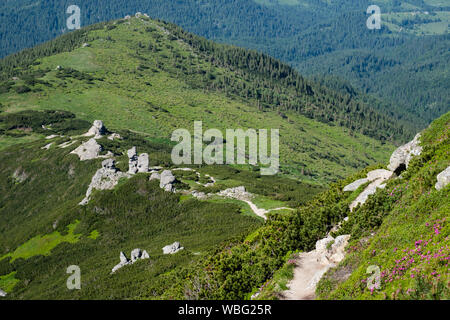 Grande roccia massi verticali su estate montagna cresta, Carpazi, Chornohora, Vuhatyj Kaminj, Ucraina. Persone irriconoscibile. Foto Stock