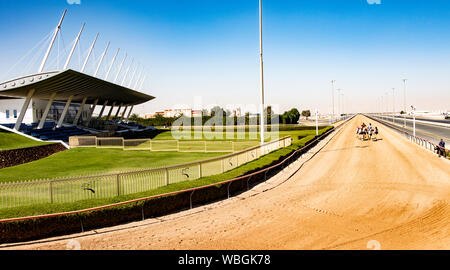 Dubai, UAE, Mar 21, 2018 - cammelli possono essere visti in arrivo a distanza come essi attorno alla curva in pista per le corse di cammelli Foto Stock