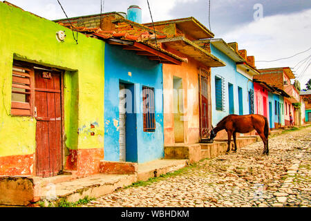 Trinidad, Cuba, Novembre 27, 2017 - Cavallo beve l'acqua dal serbatoio nella parte anteriore della fila di case colorate sulla strada di ciottoli Foto Stock