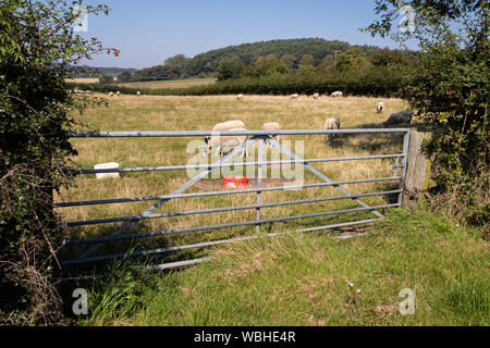 Chiuso con lucchetto in metallo e legno Gates Farm proteggere bestiame,pascoli e terreni agricoli nelle zone rurali del Derbyshire.England Regno Unito Foto Stock