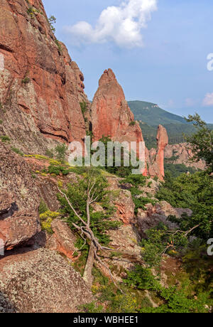 Magnifica rocce tra la foresta di sunrise. Belogradchik, Bulgaria. Foto Stock