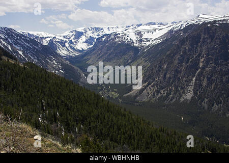 Foreste di montagna e valle dal Rock Creek punto di vista si affacciano Pass Beartooth Highway Montana USA Foto Stock