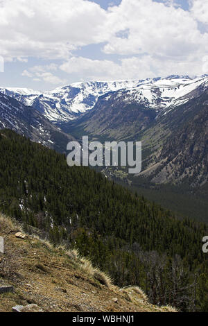 Foreste di montagna e valle dal Rock Creek punto di vista si affacciano Pass Beartooth Highway Montana USA Foto Stock