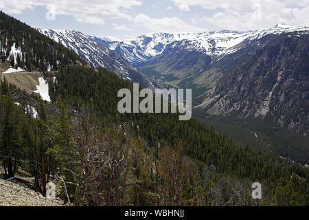 Foreste di montagna e valle dal Rock Creek punto di vista si affacciano Pass Beartooth Highway Montana USA Foto Stock