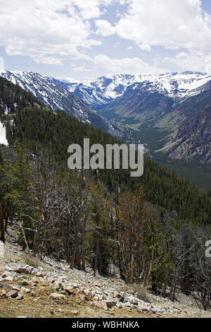 Foreste di montagna e valle dal Rock Creek punto di vista si affacciano Pass Beartooth Highway Montana USA Foto Stock