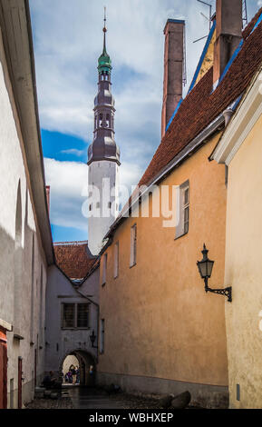 Tallinn, Estonia. Agosto 13, 2019: bella vista sulla strada di Tallinn nella torre della città vecchia Foto Stock