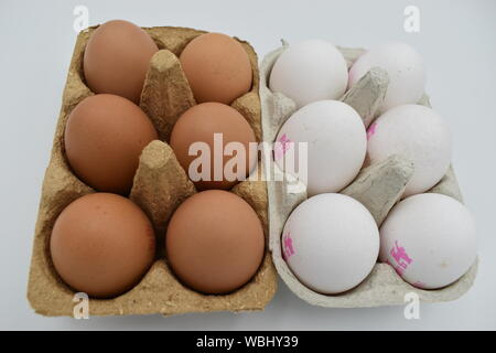 Bianco e sei sei uova di colore marrone. Dal punto di vista nutritivo non diversa, ci è stato detto, ma ci sono ancora persone che preferiscono uova marrone. Foto Stock