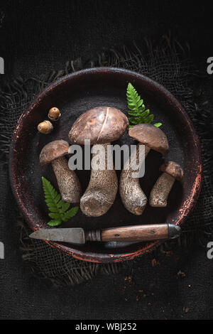 Nobile e i funghi selvatici freschi raccolti in autunno Foto Stock