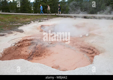 Lo spasmo Geyser Fontana Paint Pots abbassare Geyser Basin Parco Nazionale di Yellowstone Wyoming USA Giugno 2015 Foto Stock