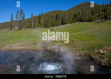 Terrazza molle hot pool in Maddison River Valley Grand Loop Road Parco Nazionale di Yellowstone Wyoming USA Giugno 2015 Foto Stock