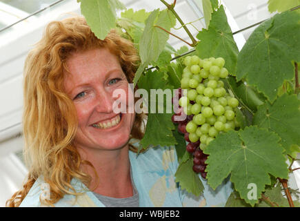 TV giardiniere Charlie Dimmock è raffigurato al Culzean Castle vicino a Ayr oggi, Venerdì 8/6/01 dove lei stava aprendo il recentemente ristrutturato azienda vitivinicola e Dolphin House. La 218ft lungo vigneti vittoriano è stato ristrutturato ad un costo di £ 362 000. Ho Foto Stock