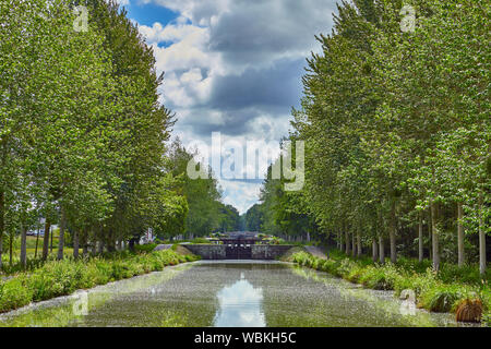 Immagine del canale e serrature a gradini con il fiore in aria e in acqua. Foto Stock