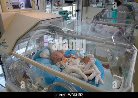 Bambino in incubatrice, unità di terapia intensiva per neonati, Carlsbad, Repubblica Ceca Foto Stock