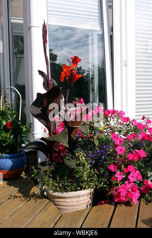 Colorato giardino patio. Estate POTS Foto Stock