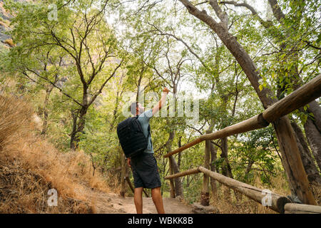 L'uomo con il suo mobile smart phone alla ricerca di segnale di ricezione nella foresta. Foto Stock