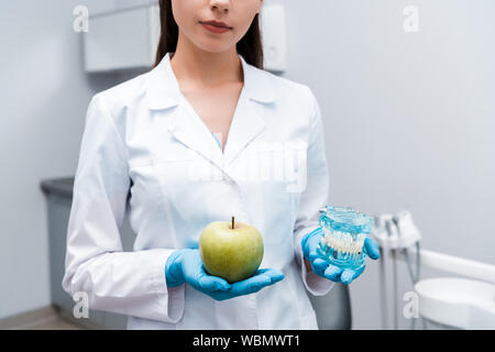 Vista ritagliata di dentista che mantiene i denti modello e gustoso apple Foto Stock