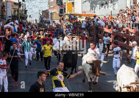 San Sebastian de los Reyes, Madrid, Spagna. Il 27 agosto 2019. Le persone che eseguono con i tori durante il primo giorno della corsa dei tori ("encierros') nel comune di San Sebastian de los Reyes, vicino Madrid, noto anche come "piccola Pamplona'. Credito: Marcos del Mazo/Alamy Live News Foto Stock