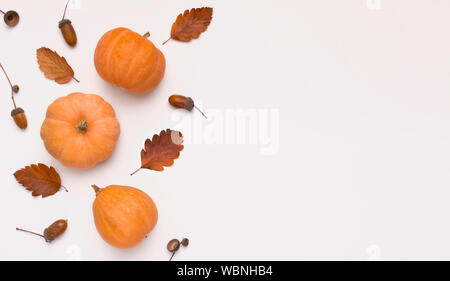 Arancione zucca piccola con foglie di quercia su sfondo bianco Foto Stock
