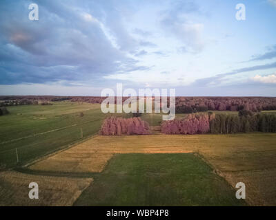 Campi arabili visto dal di sopra, agricoltura Foto Stock