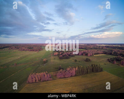 Campi arabili visto dal di sopra, agricoltura Foto Stock