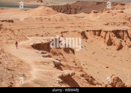 Il Flaming Cliffs sito è una regione del deserto del Gobi nella provincia Ömnögovi della Mongolia, in cui importanti reperti fossili sono state effettuate. La zona Foto Stock