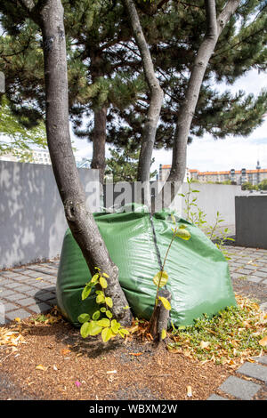 Treegator sistema di irrigazione, per irrigazione mirata di alberi in condizioni di asciutto, sacchi di acqua che erogano acqua per gli alberi in 5-9 ore, Berlino, Foto Stock