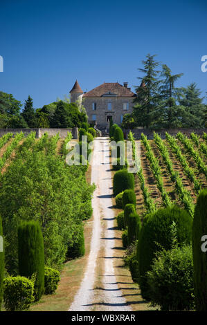 Una vista di Chateau de Chambert e il suo organico vigneto nella valle del Lot della Francia. Foto Stock