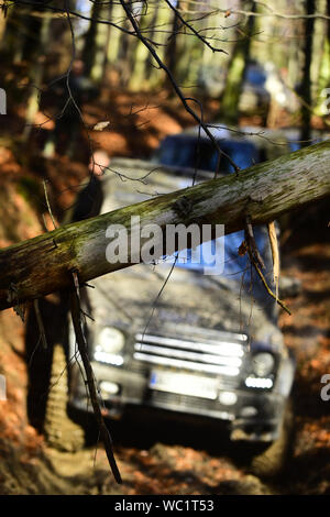 Sporco offroad cars superare ostacoli in autunno la foresta, il fuoco selettivo. Foto Stock