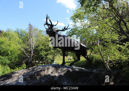 Un Proud-Looking Caribou Coffee Company un monumento nel parco Bowring.. Il monumento è un memoriale per gli uomini che hanno combattuto con il reggimento di Terranova. Foto Stock