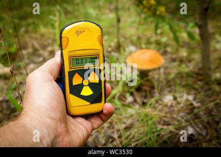 Un dosimetro in mani con un livello di radioattività nei pressi di funghi nella città di pripjat, Chernobyl Zona di esclusione. Foto Stock