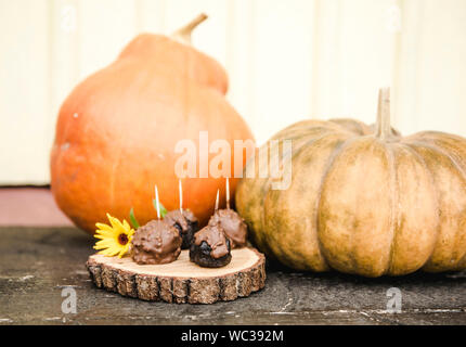 Messa a fuoco selettiva sul cioccolato artigianale candy con zucche arancione su sfondo in autunno. Foto Stock