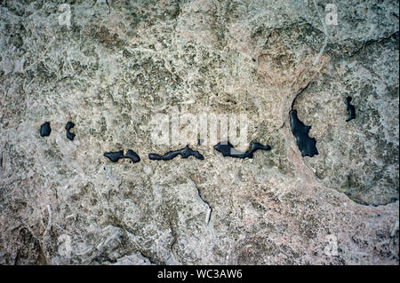 Gocce di olio sulla spiaggia di Anticostis - Canada Foto Stock